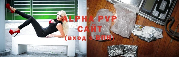индика Богданович