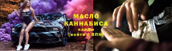индика Богданович