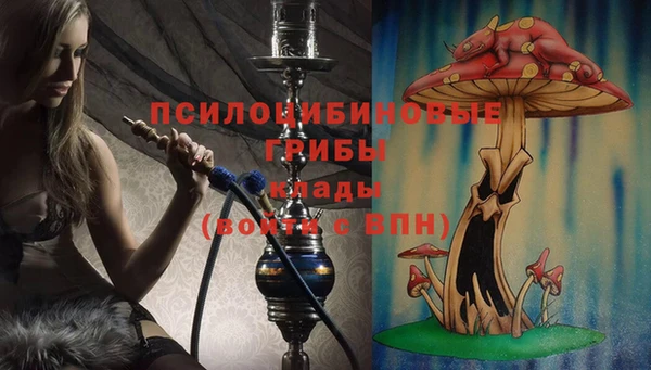 кокаин колумбия Белокуриха