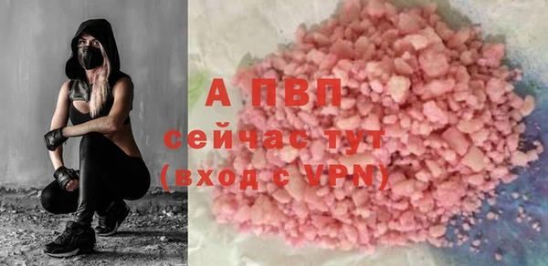 индика Богданович