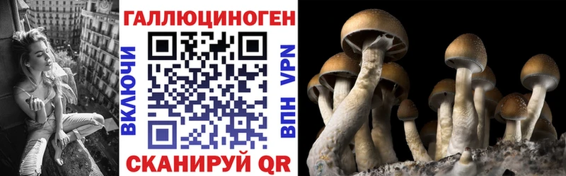 mega маркетплейс Улан-Удэ Галлюциногенные грибы мухоморы магазин
